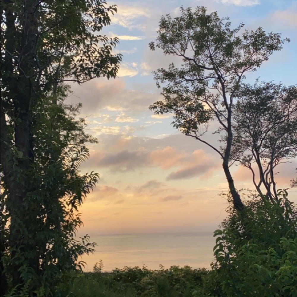 Meet your Posher, Julian